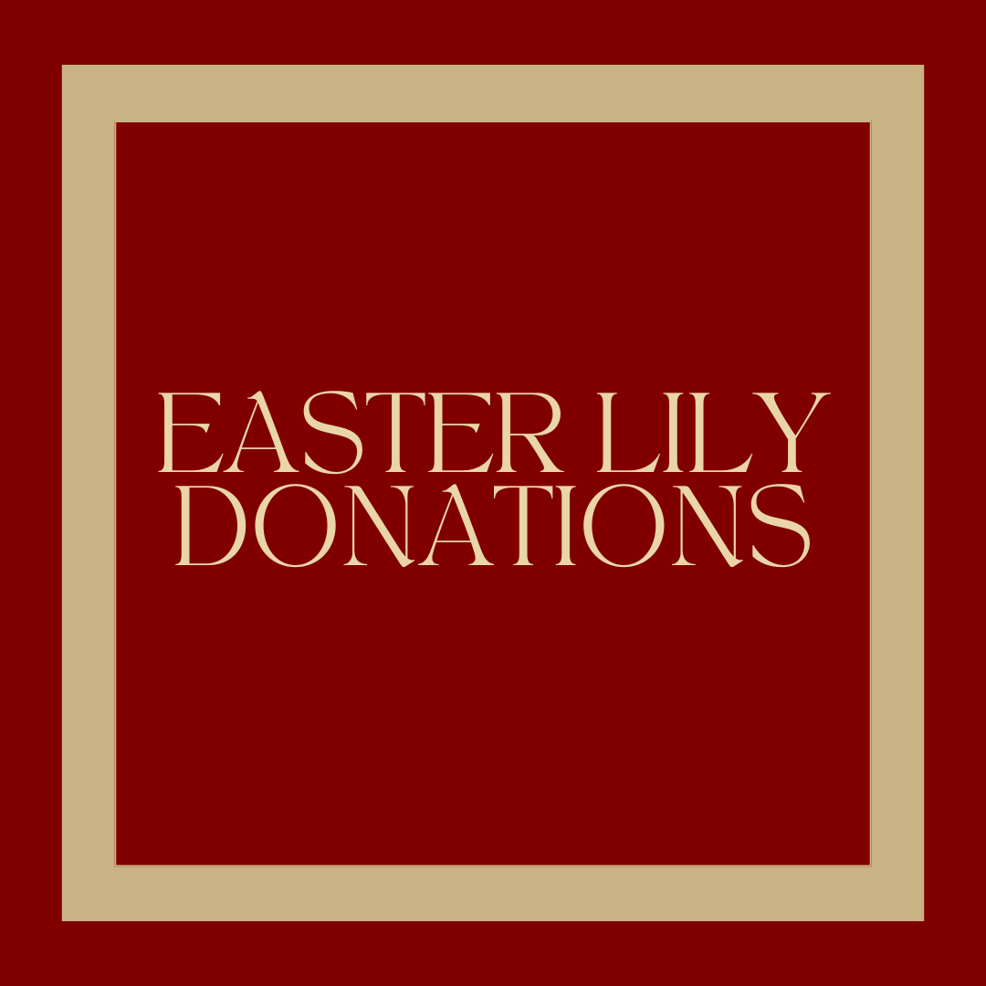 Easter Lily Donation