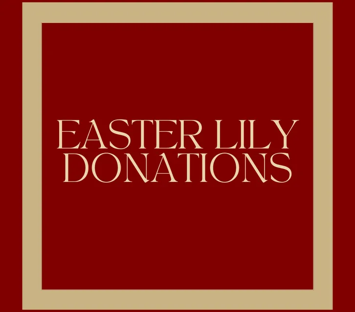 Easter Lily Donation